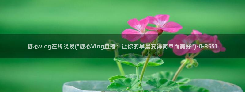 糖心vlog会计