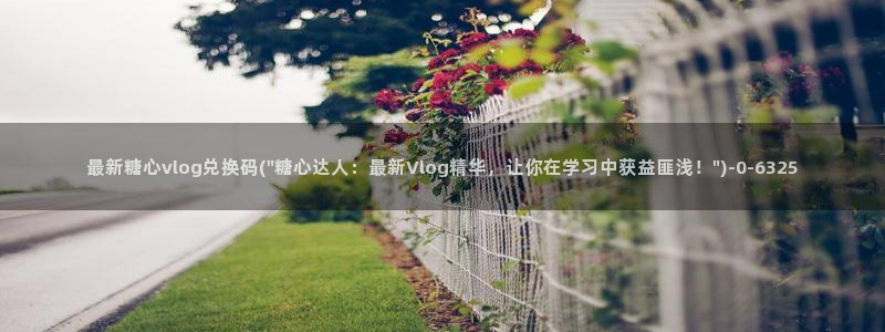 糖心vlog 柚子猫
