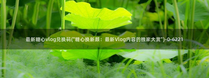 糖心vlog 柚子猫