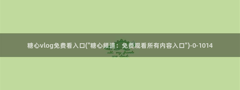 糖心vlog林夕视频