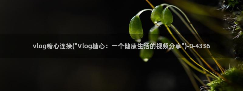 糖心vlog小橘在线