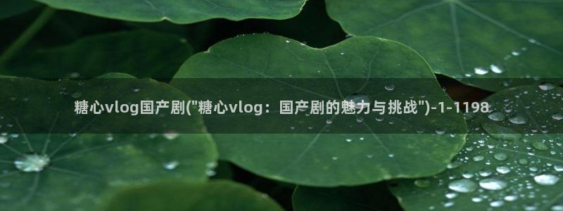 糖心vlog颜值