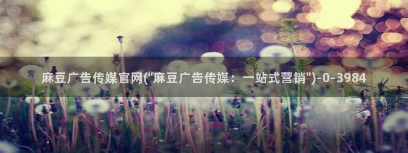 麻豆视频 图集视频：麻豆广告传媒官网(\