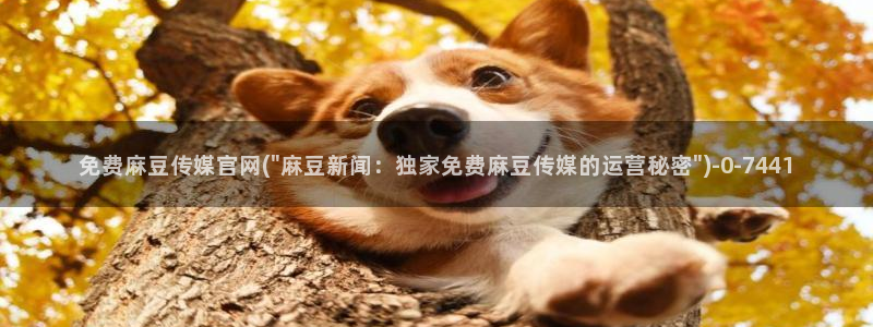 麻豆视频 完整版更新：免费麻豆传媒官网(\