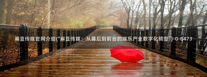 麻豆视频内容导航：麻豆传媒官网介绍(\