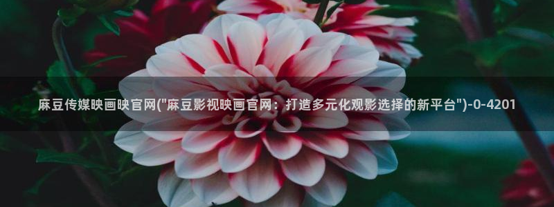 麻豆视频资源整理：麻豆传媒映画映官网(\