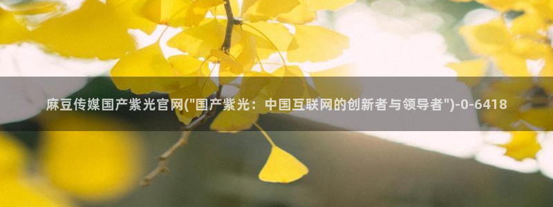 麻豆 合集在线看：麻豆传媒国产紫光官网(\