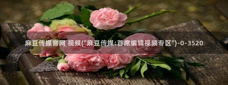麻豆完整版：麻豆传媒官网 视频(\