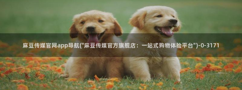 麻豆视频 视频：麻豆传媒官网app导航(\