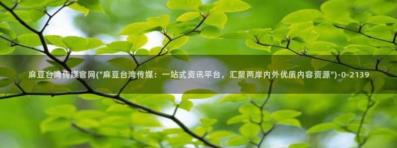 麻豆视频 下载专区：麻豆台湾传媒官网(\