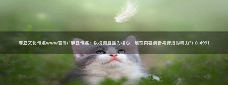 麻豆视频 热门下载：麻豆文化传媒www官网(\