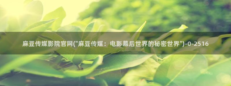 麻豆视频资源更新：麻豆传媒影院官网(\
