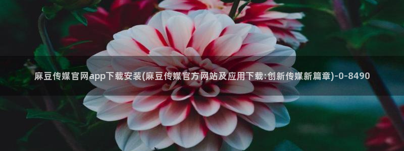 麻豆视频 完整版导航：麻豆传媒官网app下载安装(麻豆传媒官方网站及应用下载:创新传媒新篇章)