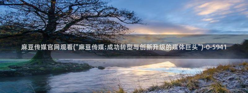 麻豆视频推荐最新：麻豆传媒官网观看(\