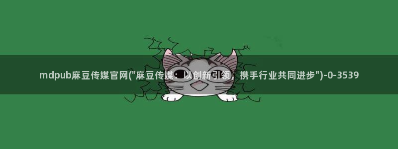 麻豆视频完整版视频：mdpub麻豆传媒官网(\