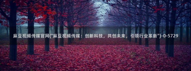 麻豆视频内容页面：麻豆视频传媒官网(\