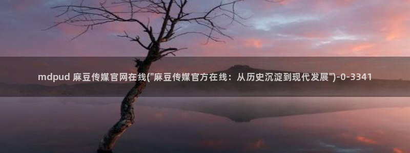 麻豆 资源视频：mdpud 麻豆传媒官网在线(\