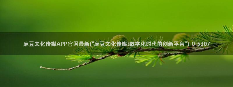 麻豆高清页面：麻豆文化传媒APP官网最新(\