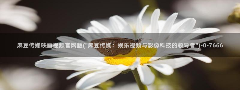麻豆视频 入口推荐：麻豆传媒映画视频官网版(\
