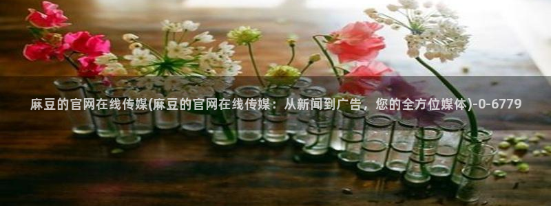 麻豆 最新页面：麻豆的官网在线传媒(麻豆的官网在线传媒：