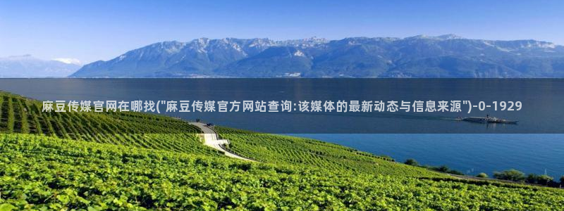 麻豆视频 站推荐：麻豆传媒官网在哪找(\