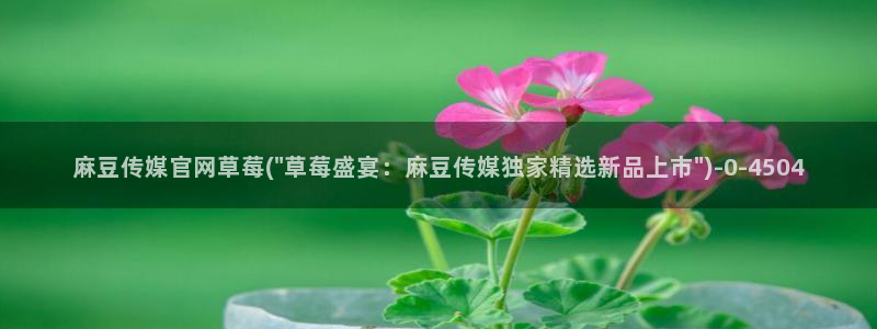 麻豆 高清专区